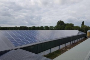 Zonnepanelen stal Rijkevoort