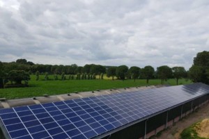 Zonnepanelen stal Rijkevoort